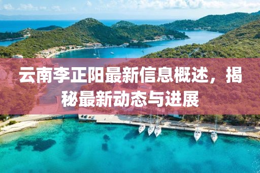 云南李正陽最新信息概述，揭秘最新動態(tài)與進(jìn)展