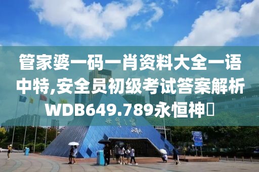 管家婆一碼一肖資料大全一語中特,安全員初級考試答案解析WDB649.789永恒神衹