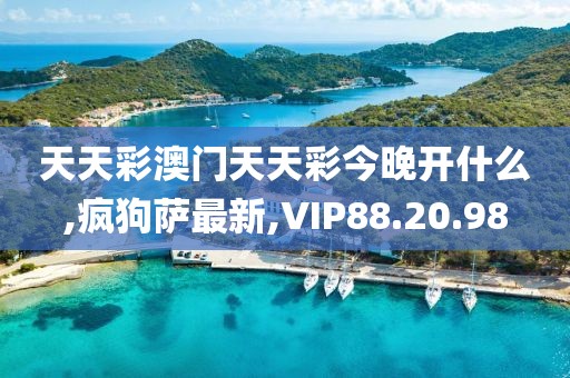 天天彩澳門天天彩今晚開什么,瘋狗薩最新,VIP88.20.98