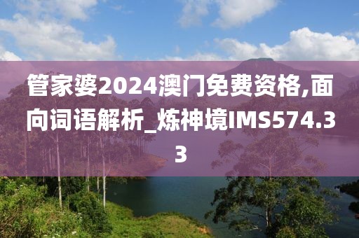 管家婆2024澳門免費(fèi)資格,面向詞語解析_煉神境IMS574.33