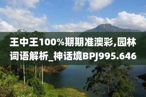 王中王100%期期準澳彩,園林詞語解析_神話境BPJ995.646