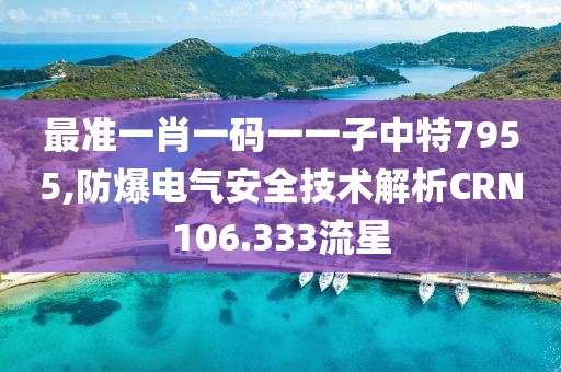 最準一肖一碼一一子中特7955,防爆電氣安全技術解析CRN106.333流星