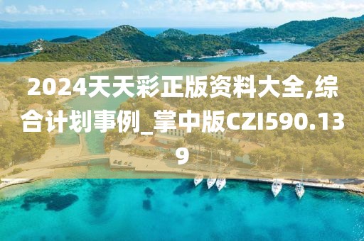 2024天天彩正版資料大全,綜合計劃事例_掌中版CZI590.139