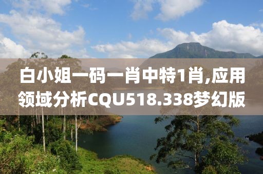 白小姐一碼一肖中特1肖,應用領域分析CQU518.338夢幻版