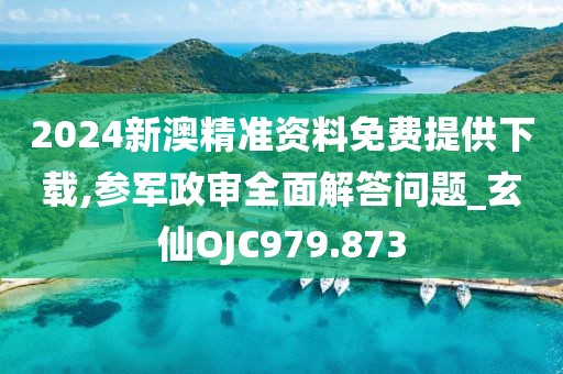 2024新澳精準(zhǔn)資料免費(fèi)提供下載,參軍政審全面解答問題_玄仙OJC979.873