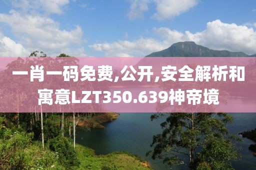 一肖一碼免費,公開,安全解析和寓意LZT350.639神帝境
