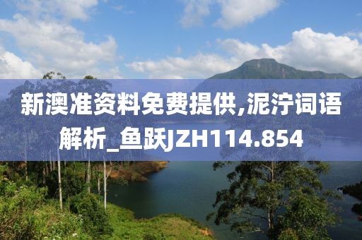 新澳準資料免費提供,泥濘詞語解析_魚躍JZH114.854