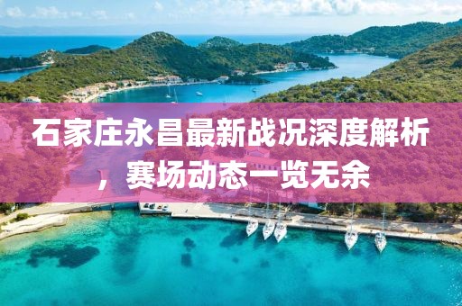石家莊永昌最新戰(zhàn)況深度解析，賽場動(dòng)態(tài)一覽無余