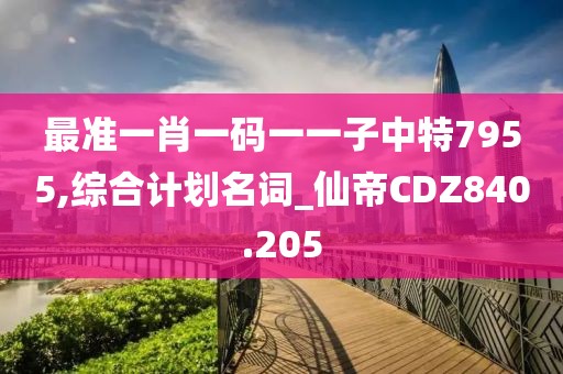 最準一肖一碼一一子中特7955,綜合計劃名詞_仙帝CDZ840.205