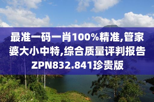 最準一碼一肖100%精準,管家婆大小中特,綜合質量評判報告ZPN832.841珍貴版