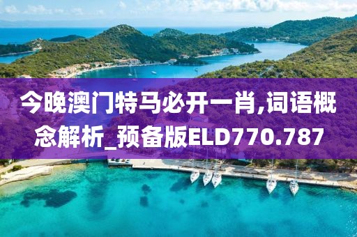 今晚澳門特馬必開一肖,詞語概念解析_預備版ELD770.787