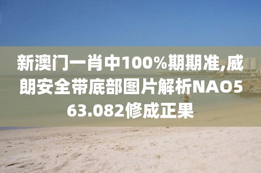 新澳門一肖中100%期期準(zhǔn),威朗安全帶底部圖片解析NAO563.082修成正果