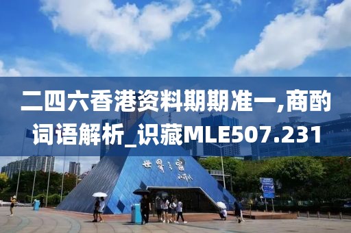 二四六香港資料期期準(zhǔn)一,商酌詞語解析_識(shí)藏MLE507.231