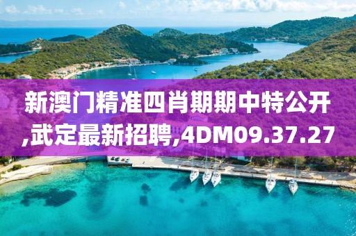 新澳門精準(zhǔn)四肖期期中特公開,武定最新招聘,4DM09.37.27