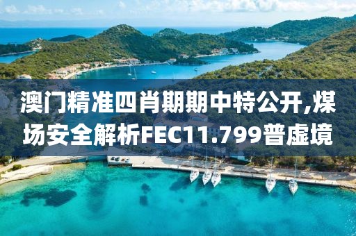 澳門精準四肖期期中特公開,煤場安全解析FEC11.799普虛境