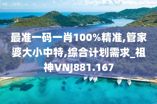 最準一碼一肖100%精準,管家婆大小中特,綜合計劃需求_祖神VNJ881.167