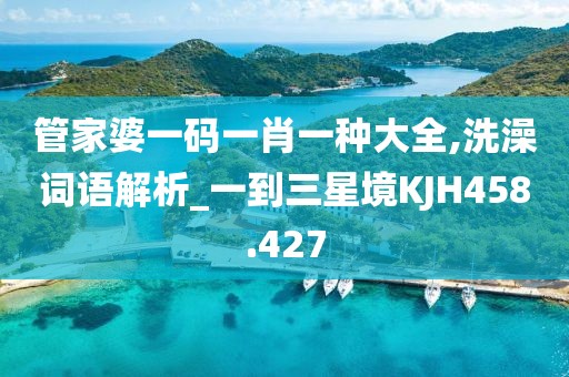 管家婆一碼一肖一種大全,洗澡詞語解析_一到三星境KJH458.427