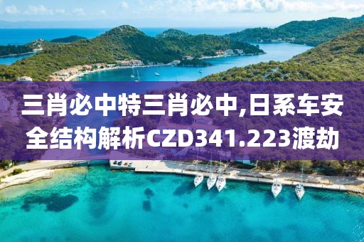 三肖必中特三肖必中,日系車安全結構解析CZD341.223渡劫