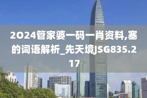 2O24管家婆一碼一肖資料,塞的詞語解析_先天境JSG835.217