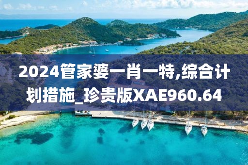 2024管家婆一肖一特,綜合計劃措施_珍貴版XAE960.64