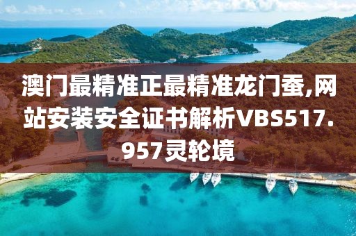 澳門最精準正最精準龍門蠶,網站安裝安全證書解析VBS517.957靈輪境