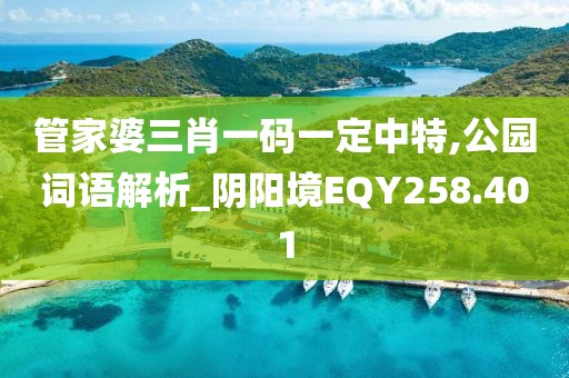 管家婆三肖一碼一定中特,公園詞語解析_陰陽境EQY258.401
