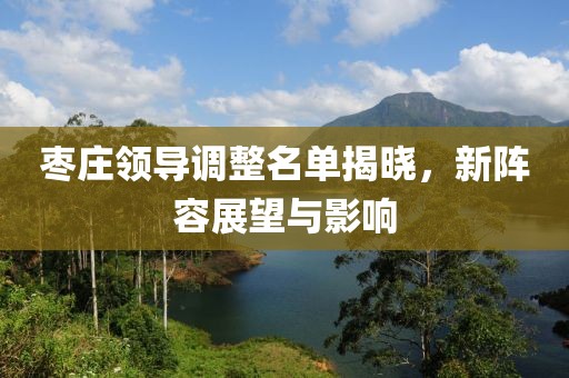 棗莊領(lǐng)導(dǎo)調(diào)整名單揭曉，新陣容展望與影響