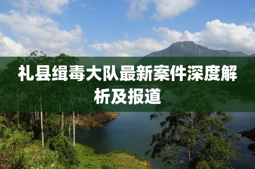 禮縣緝毒大隊(duì)最新案件深度解析及報(bào)道