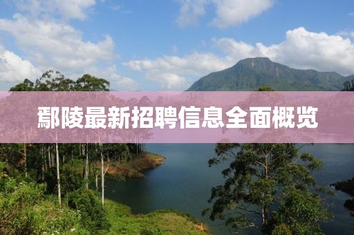 鄢陵最新招聘信息全面概覽