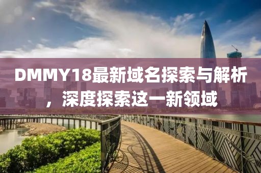 DMMY18最新域名探索與解析，深度探索這一新領域