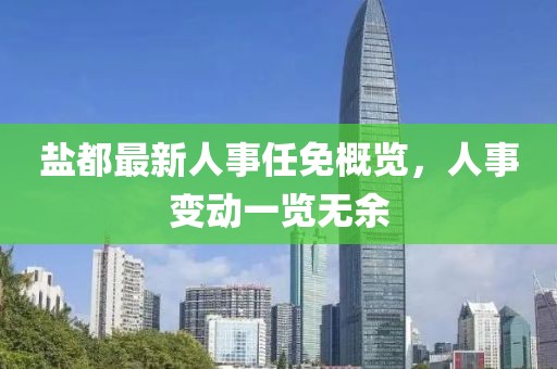 鹽都最新人事任免概覽，人事變動一覽無余