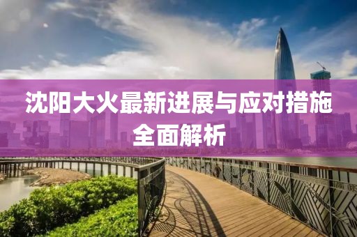 沈陽大火最新進展與應對措施全面解析