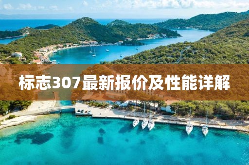 標志307最新報價及性能詳解