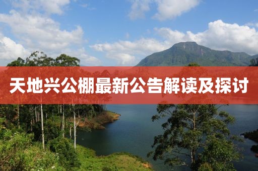 天地興公棚最新公告解讀及探討
