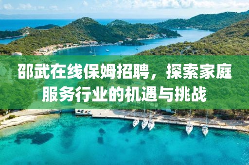 邵武在線保姆招聘，探索家庭服務行業的機遇與挑戰