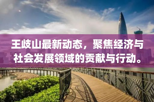 王歧山最新動態，聚焦經濟與社會發展領域的貢獻與行動。