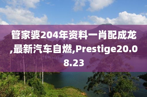 管家婆204年資料一肖配成龍,最新汽車自燃,Prestige20.08.23