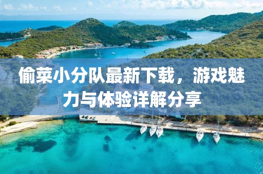 偷菜小分隊最新下載，游戲魅力與體驗詳解分享