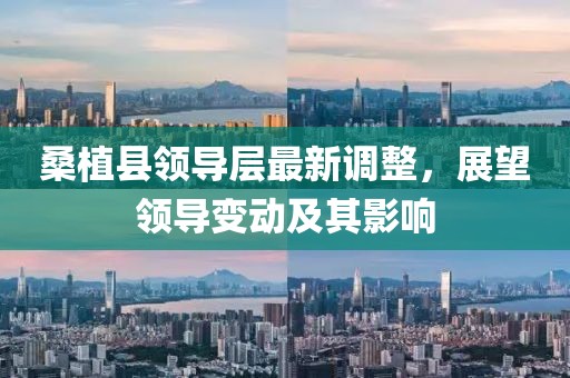 桑植縣領(lǐng)導(dǎo)層最新調(diào)整，展望領(lǐng)導(dǎo)變動(dòng)及其影響