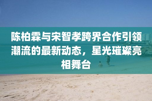 陳柏霖與宋智孝跨界合作引領潮流的最新動態，星光璀璨亮相舞臺