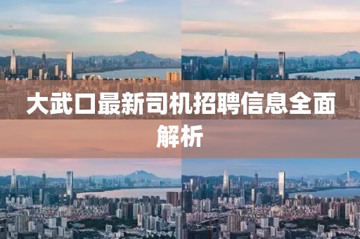 大武口最新司機(jī)招聘信息全面解析