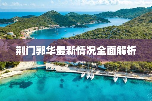 荊門郭華最新情況全面解析