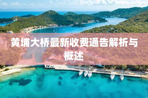 黃埔大橋最新收費通告解析與概述