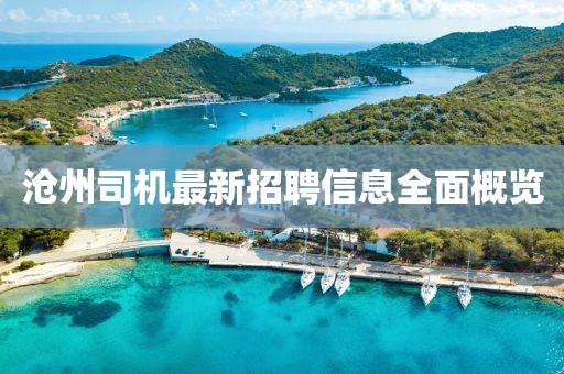 滄州司機最新招聘信息全面概覽