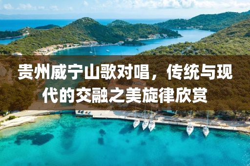 貴州威寧山歌對唱，傳統與現代的交融之美旋律欣賞