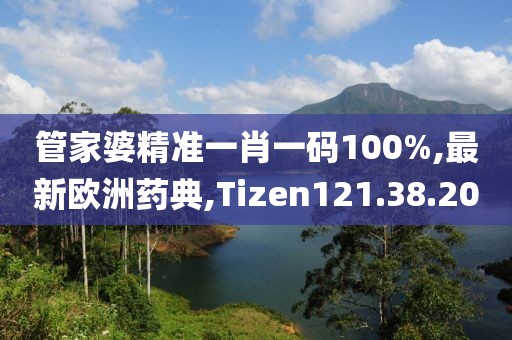 管家婆精準一肖一碼100%,最新歐洲藥典,Tizen121.38.20