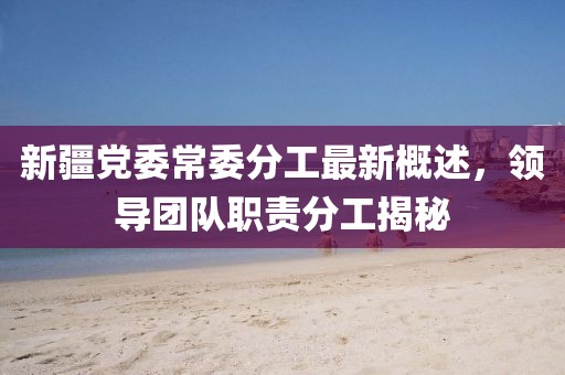 新疆黨委常委分工最新概述，領(lǐng)導(dǎo)團(tuán)隊(duì)職責(zé)分工揭秘