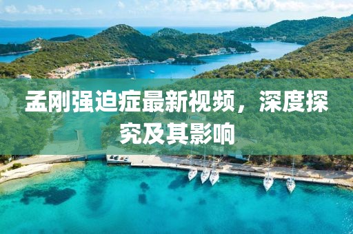 孟剛強迫癥最新視頻，深度探究及其影響