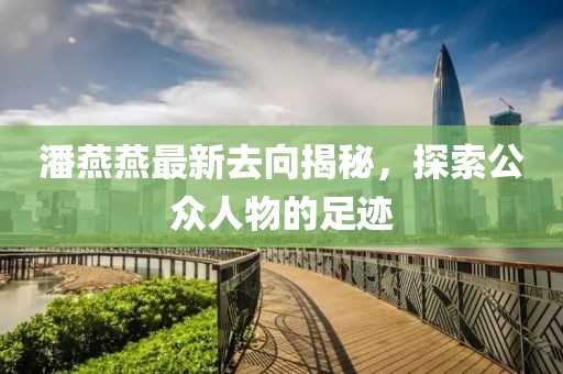 潘燕燕最新去向揭秘，探索公眾人物的足跡