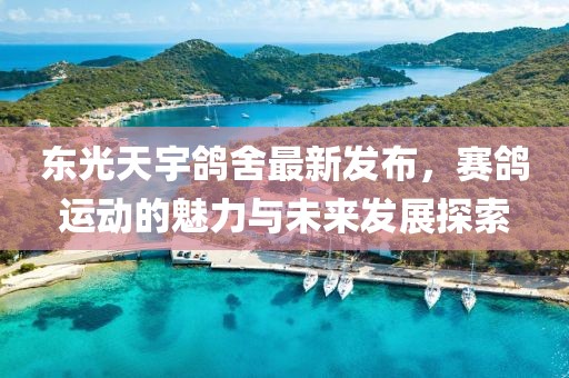 東光天宇鴿舍最新發(fā)布，賽鴿運(yùn)動(dòng)的魅力與未來(lái)發(fā)展探索